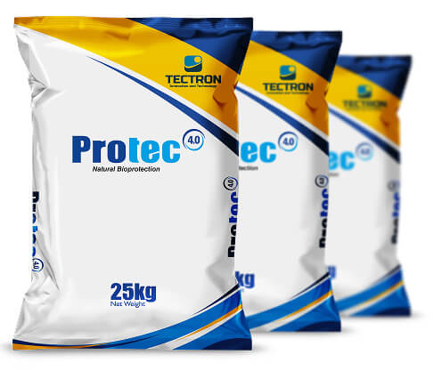 Imagem de cachorro com ração