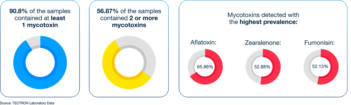 Imagem resultados comprovam a ameaça