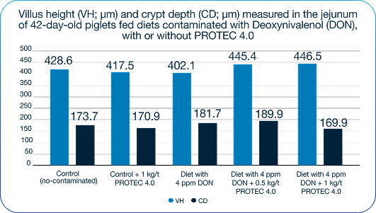 Gráfico Altura de Vil